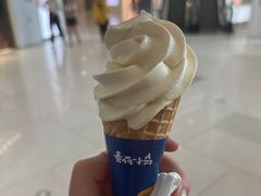 -春丽小马(济南恒隆广场店)