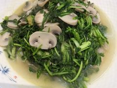 -旺山·浪头人家