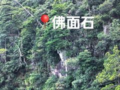 -天目山大树王景区