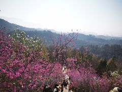 -天台山赤城山景区