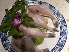 -大龙火锅(龙潭寺旗舰店)