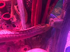 -沈阳海洋探索中心