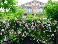 -常熟路(地铁站)