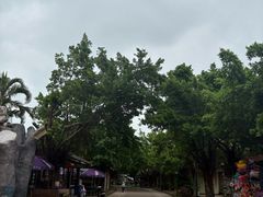 -白沙门生态公园
