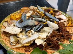 -草墩罗非鱼庄•野生菌•腊排骨(七星街上段店)