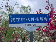 -南汇桃花村
