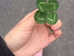 -白鹭湾湿地公园