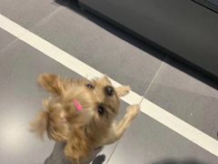 -炮爷东北铁锅炖(棠安路店)