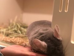 -龙猫仔乐园(惠福东路店)