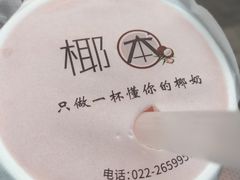 -津椰本·海南正宗椰奶清补凉(店一店)