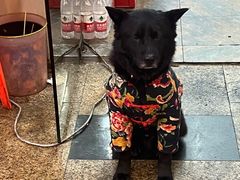 -回头烧烤(悦荟购物中心店)