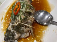 -东海海鲜酒家(中信广场店)