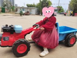 -上美四季动物农场