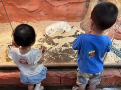 -Zoolung Zoolung动物主题公园(海信广场店)