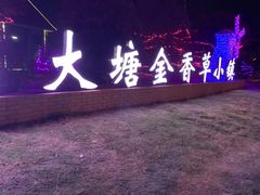 -大塘金香草谷