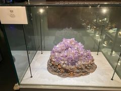 -武汉园博园(武汉自然博物馆)