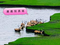 -溱湖国家湿地公园