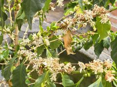 -后谷咖啡(建设巷店)