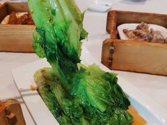 -粤式早茶希朋喜宴