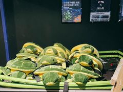 -VS SPORTS PARK运动玩乐园·团建·生日会(合生汇店)