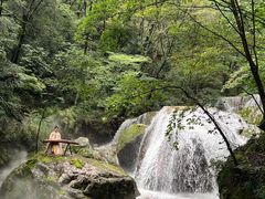 -牛背梁国家森林公园