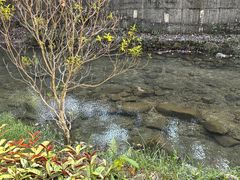 -广州白江湖森林公园