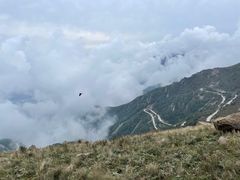 -白草畔自然风景区