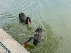 -哈尔滨师范大学(松北校区)