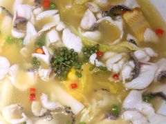 -青花椒花椒鱼(合生汇店)