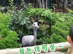 -大连森林动物园