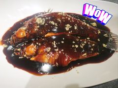 -鸿运轩中餐馆(浙江国际雷迪森广场酒店)