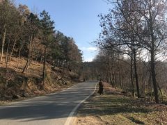 -南京市无想山景区