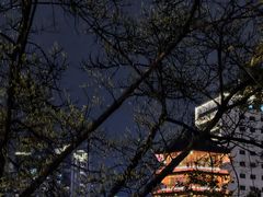 -九眼桥码头旧址