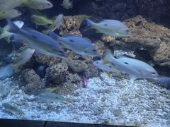 -大连老虎滩海洋公园