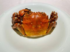 -蟹榭·莳鲜(虹桥高岛屋店)