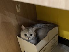 -瑞派·爱瑞可动物医院·口腔专科(广华新城分院)