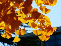 -苏州大学(天赐庄校区)
