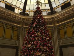 -上海和平饭店-华懋阁 The Cathay Room