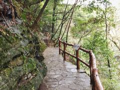 -石台牯牛降景区