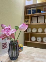 -小颜秘家·韩国整骨