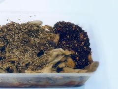 -老王豆皮