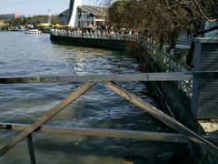 -溱湖国家湿地公园