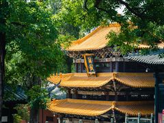 -中国观音故里广德景区