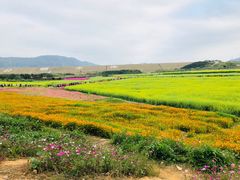 -光明小镇欢乐田园