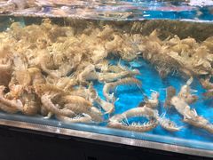 -盒马鲜生(曜一城店)