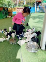 -萌宠亲子动物乐园(槐房万达店)