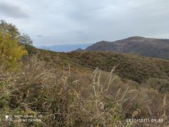 -妙峰山风景名胜区