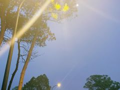 -幸福湖国际会议中心