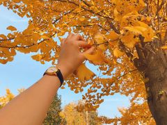 -山东科技大学（青岛校区）-图书馆