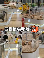 -小象动悟公园(龙湖亦庄天街店)